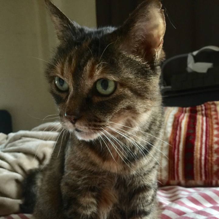 F8cc23ae 10ed 4a3a b1a7 c57b6471c362