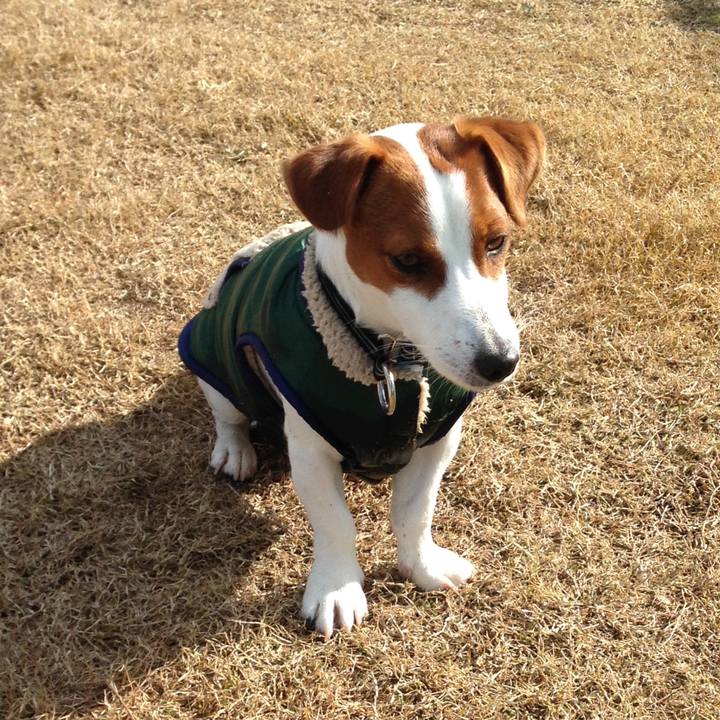 F8cc590b 1906 477b b7f7 f702d8ea484e