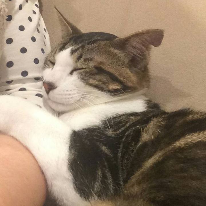 F8cc74d8 1379 4c2d a470 7439244a7ab5