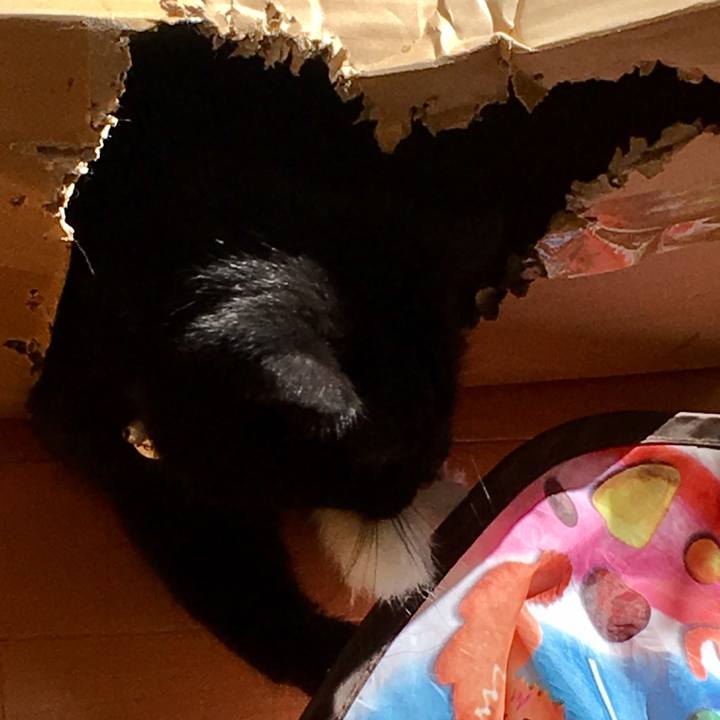 F8ccbef2 4743 4bf6 aafb 9e303627f69f