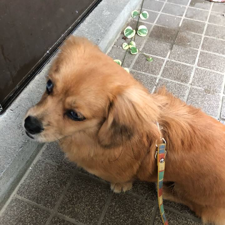 F8ccc1b8 5fb4 4b8d a814 00af92c80c8e