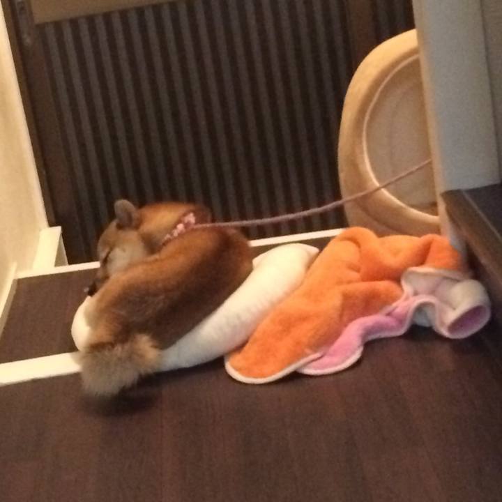 F8ccd60b 320e 48c5 95fd bd0ee4938ee9