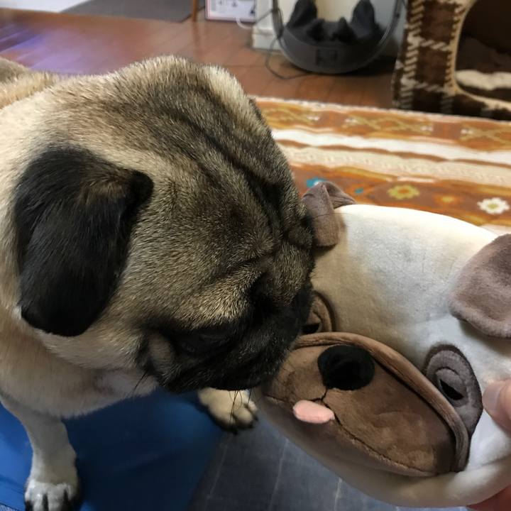 F8ce1e3a c97b 4fad 9393 bdb65307c270