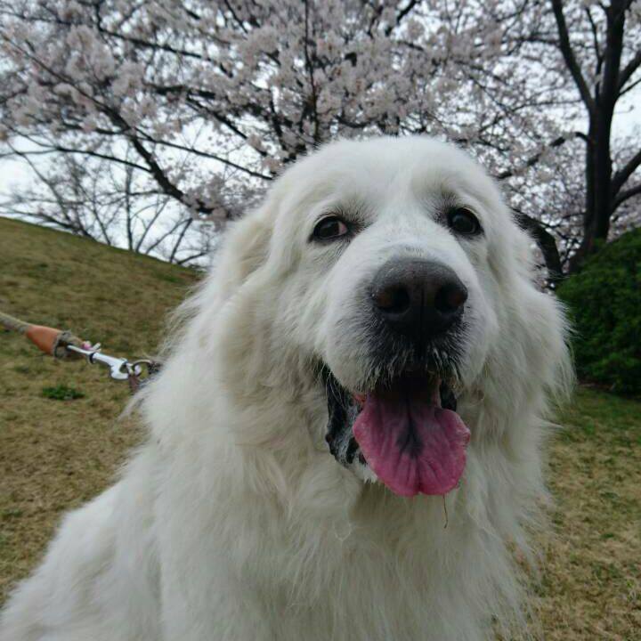 F8ce5467 f0cb 410f b3aa 20d61fee1564