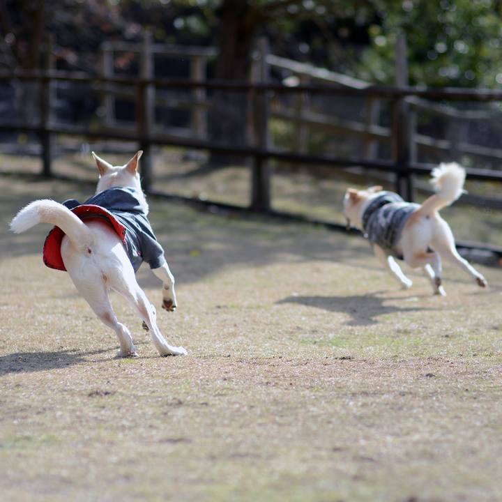 F8cf2349 af91 468b 8201 342f78adbe1f