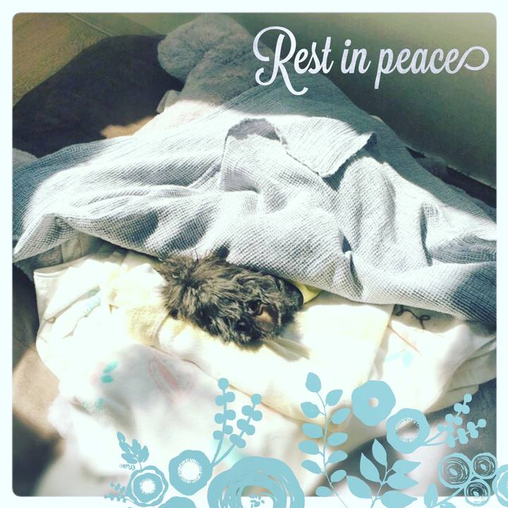 F8cf58f4 1b9d 4519 9022 b7fb4f10c54f