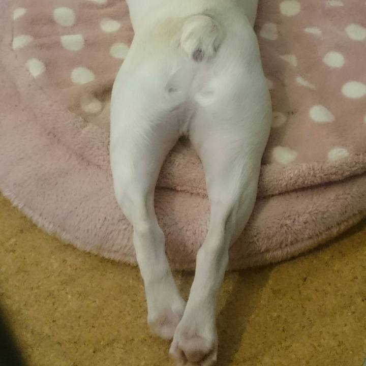 F8d076a5 964d 475c ad8e 56d4ca3b6636