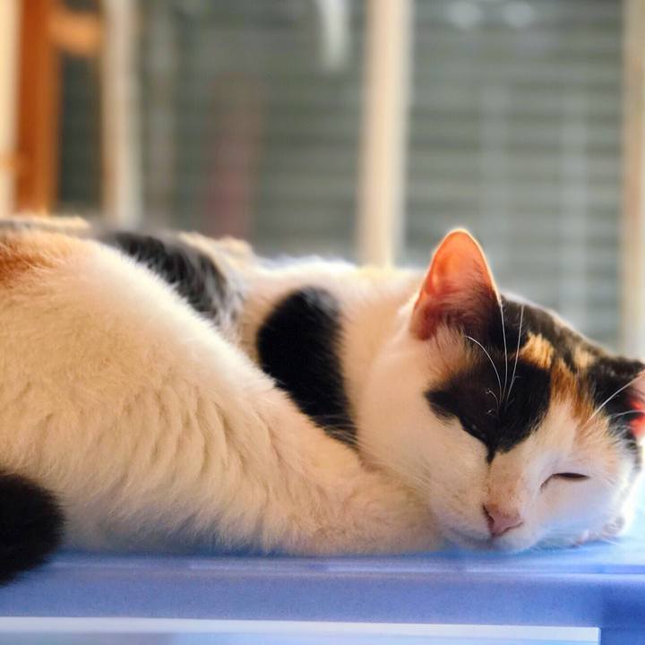 F8d0a651 743d 4261 be4c f306f7a287e3