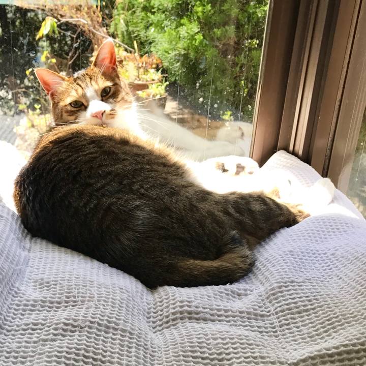 F8d0b441 85c7 4750 b742 51f038813952