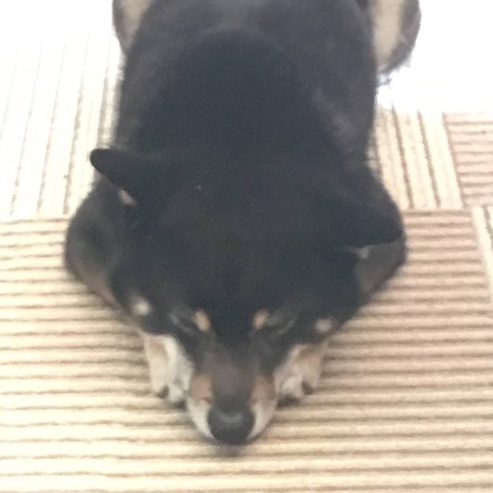 F8d0bb11 e55d 4247 ae9c 1a851325177b