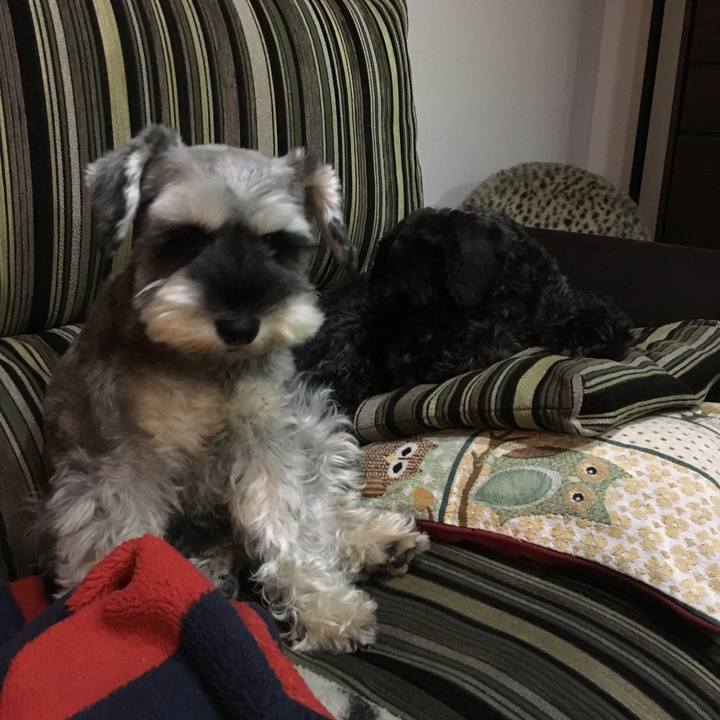 F8d0f153 04d6 4461 8752 6a13bdf585db