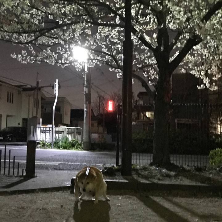 F8d46e3b df6d 47cb ae69 734505c77e43