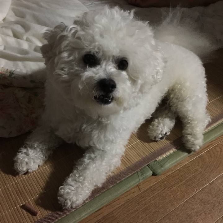 F8d47788 931a 41a2 81ae 49850a6f59fd