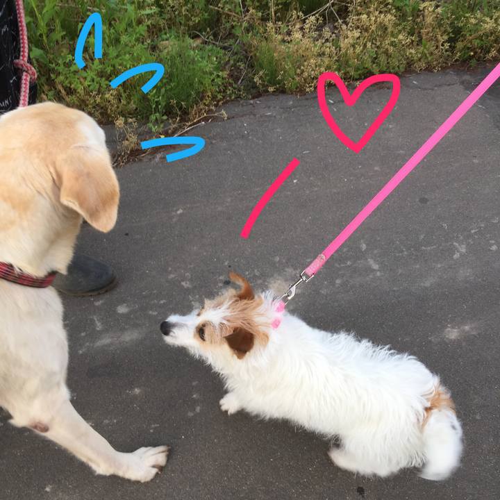 F8d47ec1 1020 465d 9015 5152fba9fa70