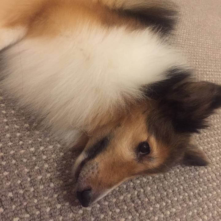 F8d4e99d 8d29 4149 9b6f 6bd3d0d283d9