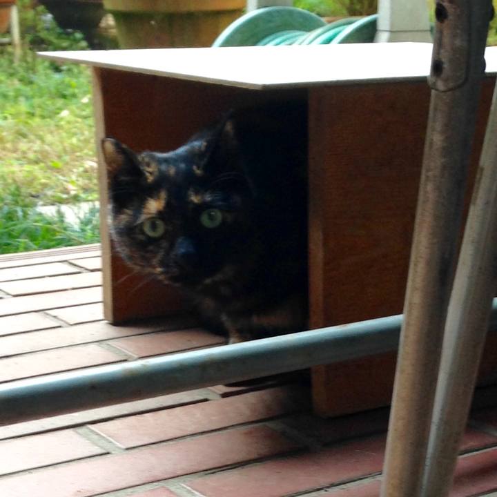 F8d4ec3b 3056 439e 97d9 f6646d30db81