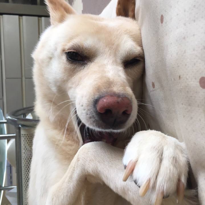 F8d51492 e57d 4d2a bf23 682ecbfae32a