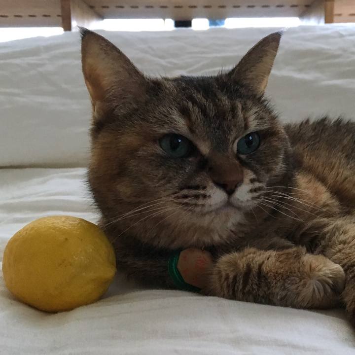 F8d57d25 2fb2 408f ad68 c56947471a7d