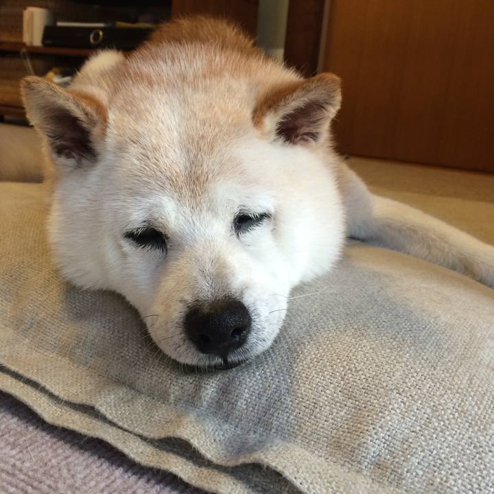 F8d595cb e761 4825 806f 444638c72ea4