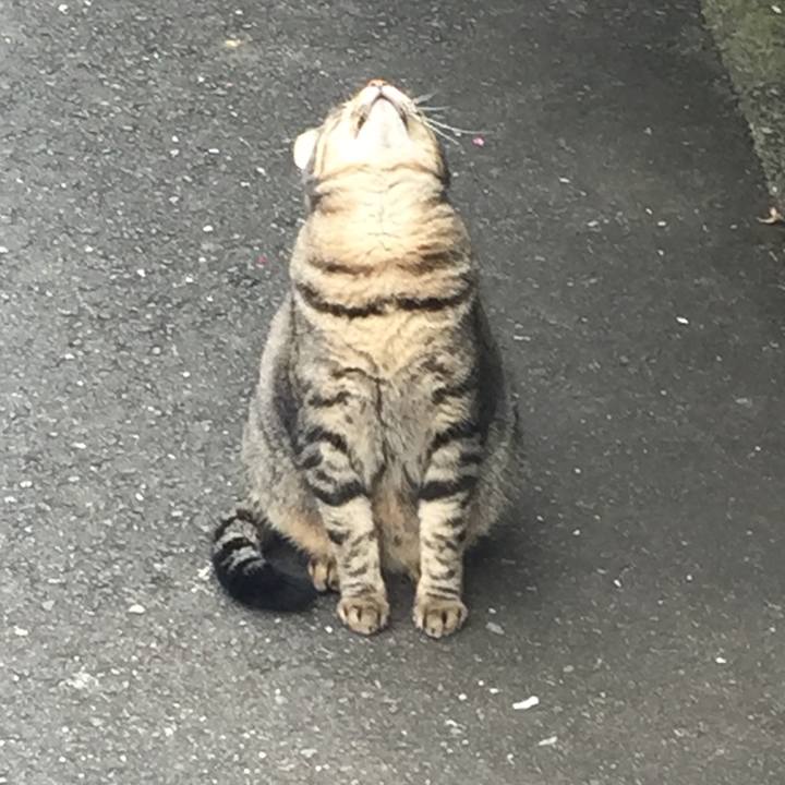 F8d7842f 3606 466f b246 b4ff74fada51