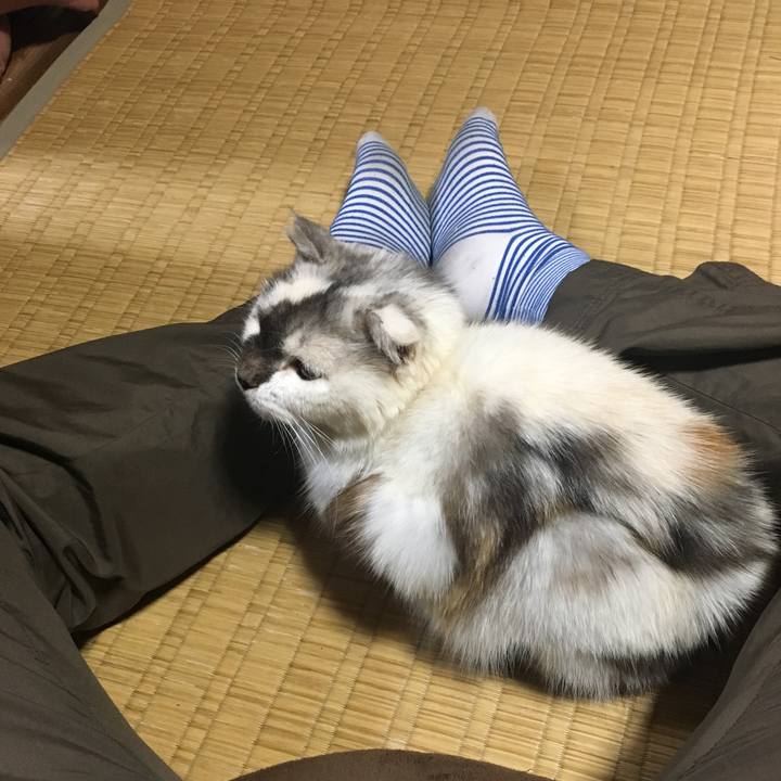 F8d7af11 eb39 4e92 949b f7c929a2e02a