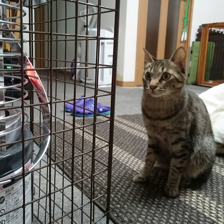 F8d7b9f8 8e02 430a b001 59066b232b03