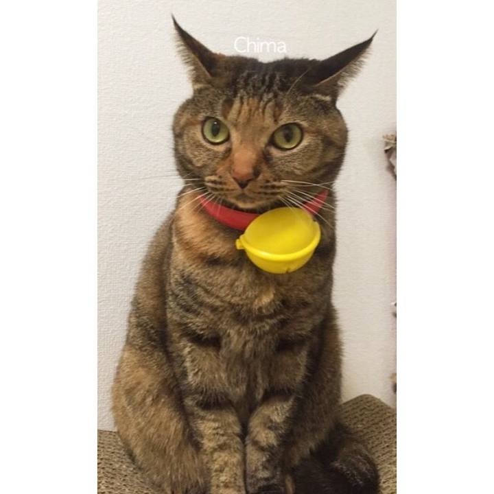 F8d7c810 ada4 468d 92df a2e2ced9e191