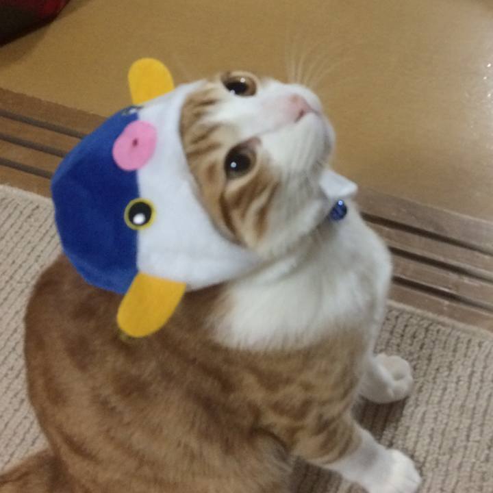 F8d7e2b1 fbef 46fd b113 305b12a41f4c