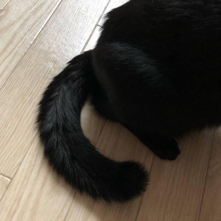 F8d7f80a 000d 44b8 b321 c5dd8197cb68