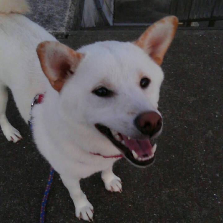 F8d816eb 6368 4f6c 8f5a e2461fbfe41c