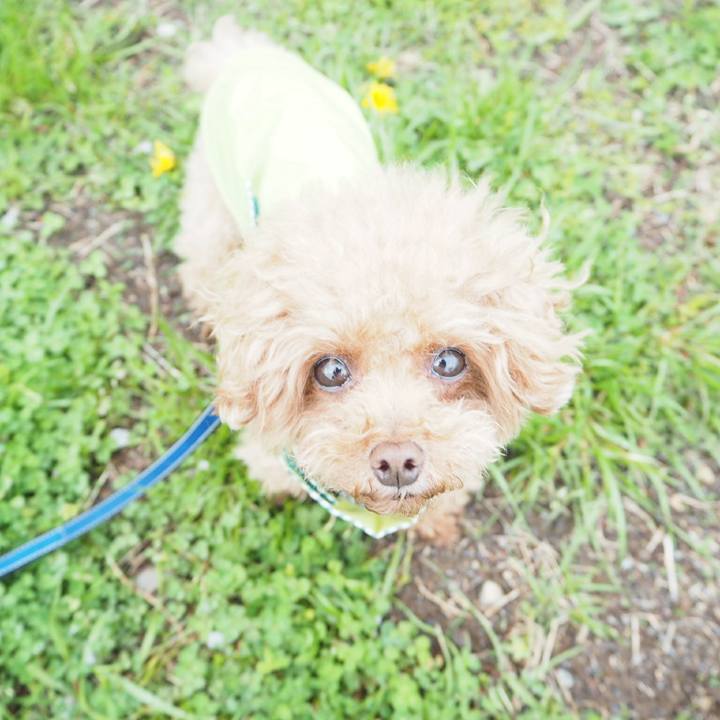 F8d862aa 92c8 40f2 9c3a 5ef65dab6d07