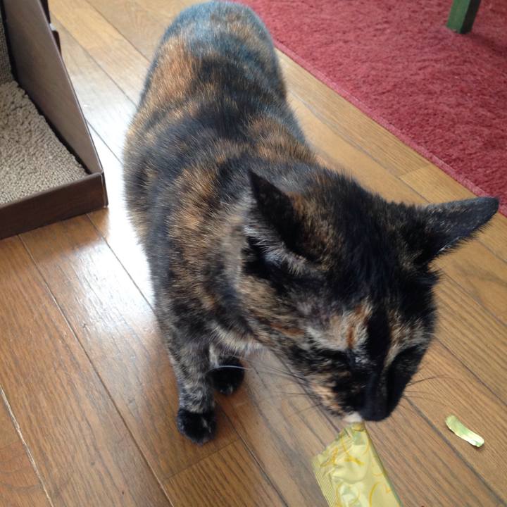 F8d87965 d661 4e04 94fe 1aefe71d4853