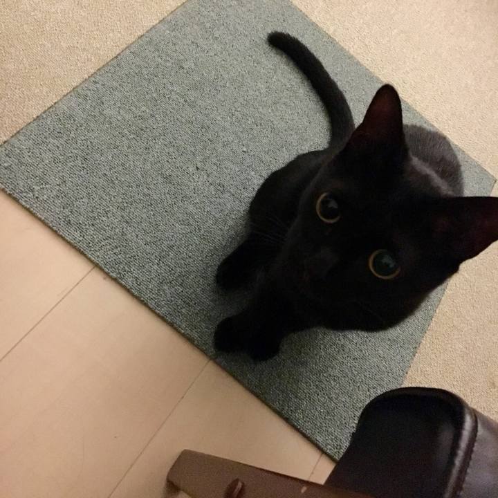 F8d87f92 e99c 4b21 86be 63d684ca4d05