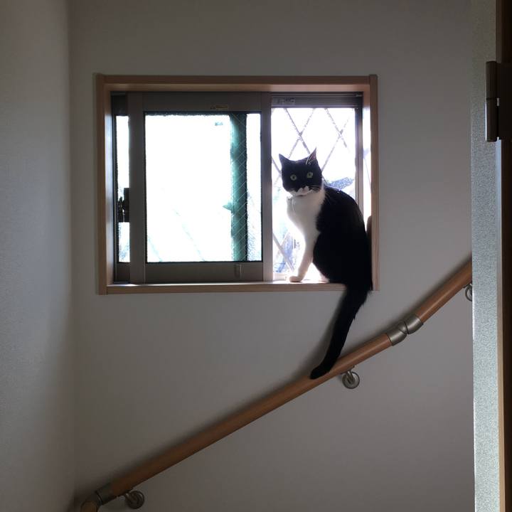 F8d9199c 6b1b 46ef b6b2 168b73e568f7