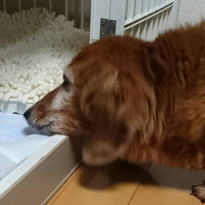 F8d9ed24 c59b 4a98 93c9 e1039f9dc5c5