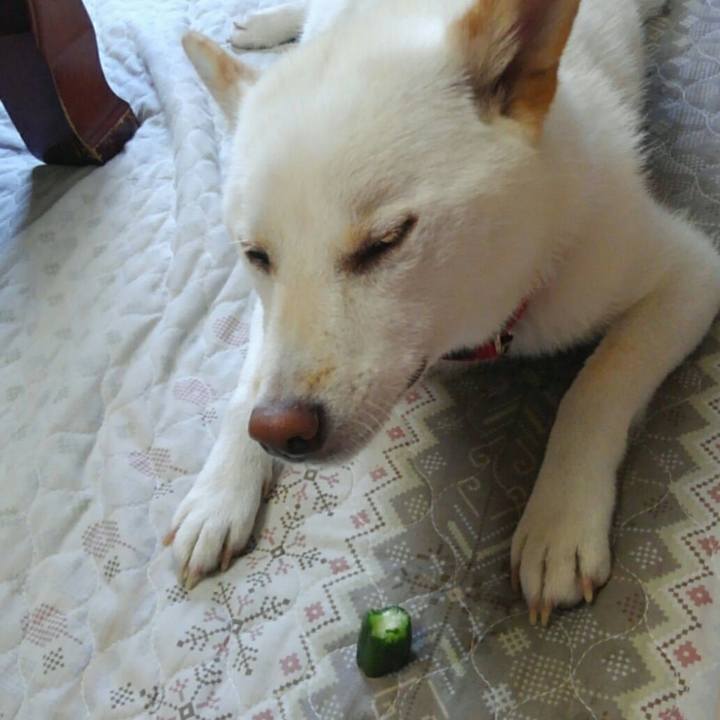 F8d9f9b0 d764 416f 99c6 79a4fa9c0a40