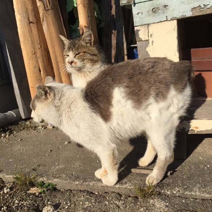 F8da4625 90c2 4044 9648 16118b54a3af