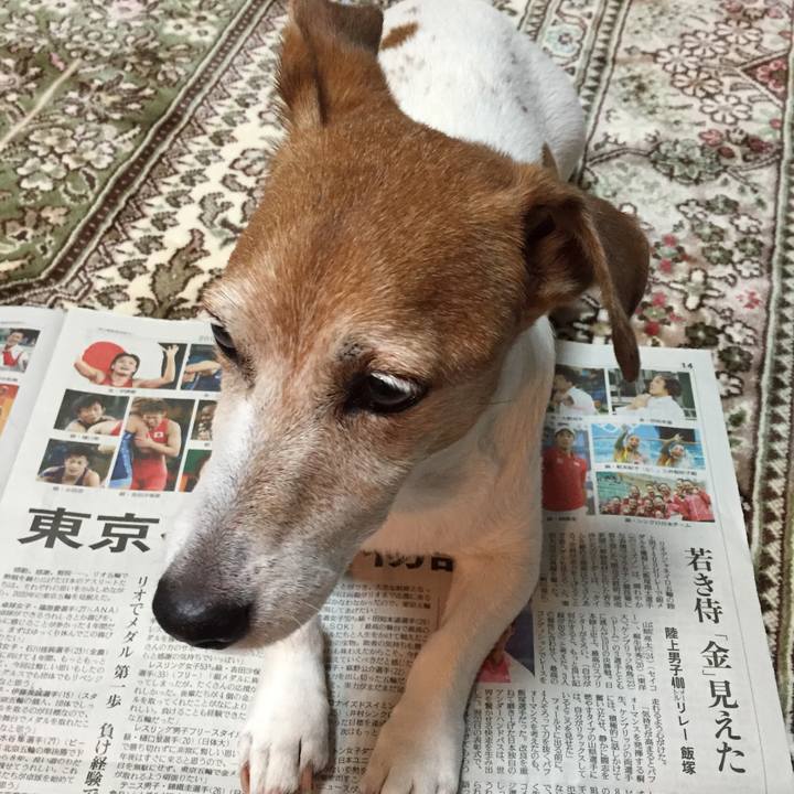 F8db3269 c1d0 41bb 9ff5 bbd11dc5ce76