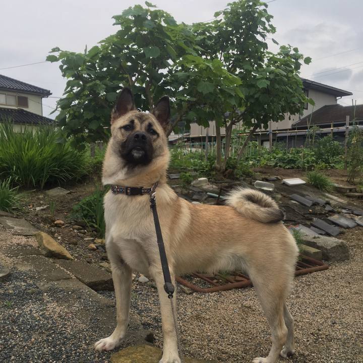 F8db543b ba94 41f2 9d24 443f0d8ec15b