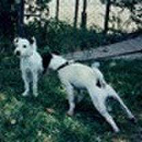 F8db6dd7 9d06 414a 9b19 b6576a7bb3ab