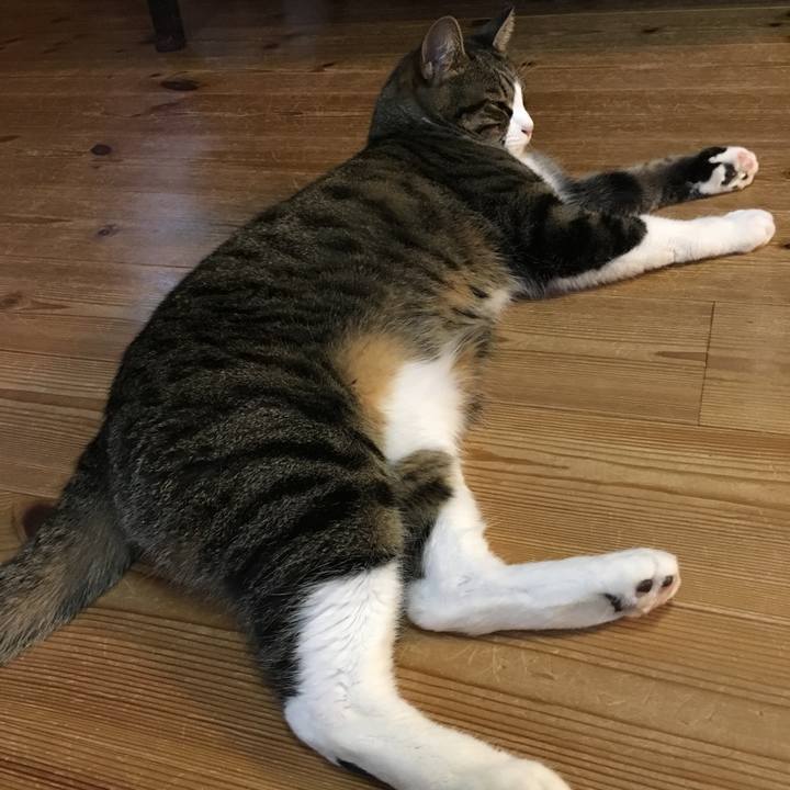 F8dba8a5 8865 45ec 830e 6660899760f5