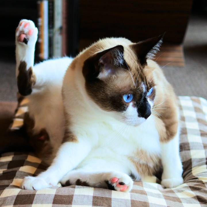 F8dbb3ff be78 47d0 ace3 810cb385575e