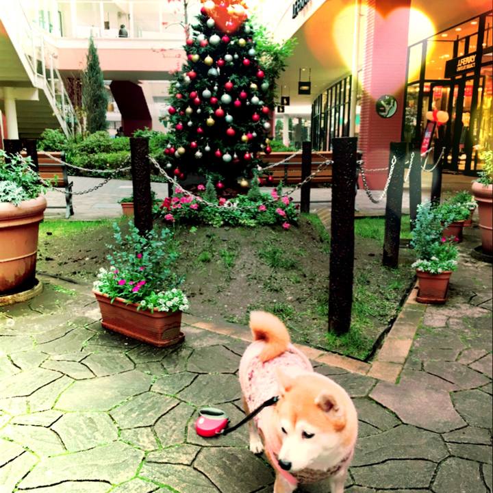 F8dbf2cc ba33 43d3 a69d 324b3a63cac3