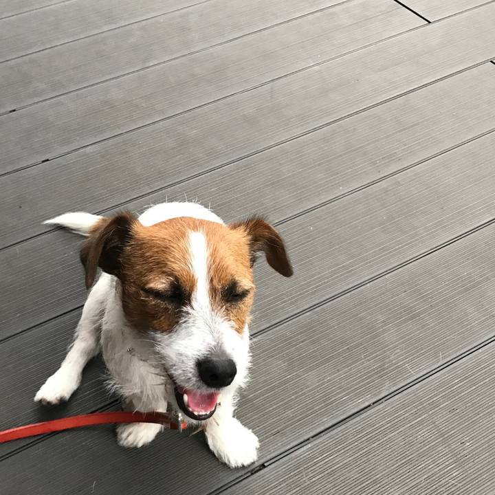 F8dc1f00 2d85 4dd9 8b9e 30de6da92ff3