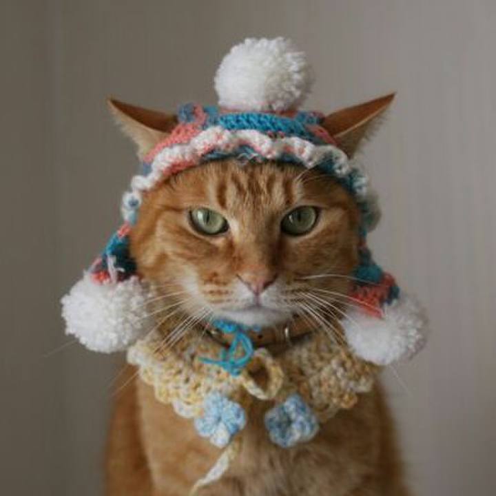 F8dc216e df35 4378 9d8c f411ba6e7c61