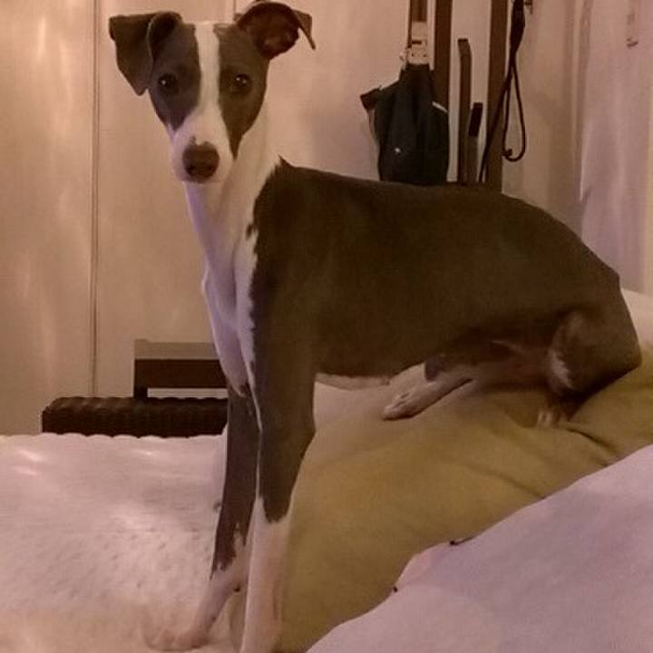 F8dcc95d ad36 4848 9393 6707bb604905