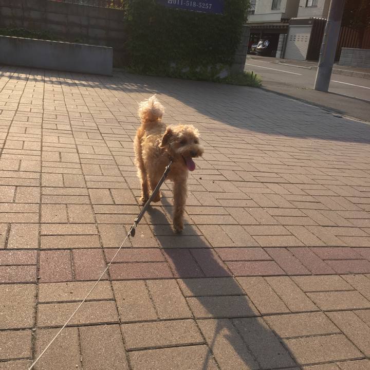 F8dd21d1 f847 43f6 adce d331605216cb