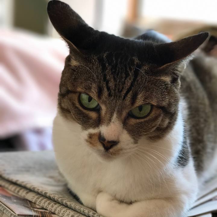 F8dd47a6 04a8 46e2 93bb f0ef8b7d0fc9