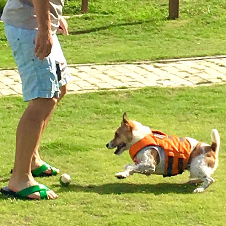 F8dd857b 1629 4f92 bc41 f4f704e577f3