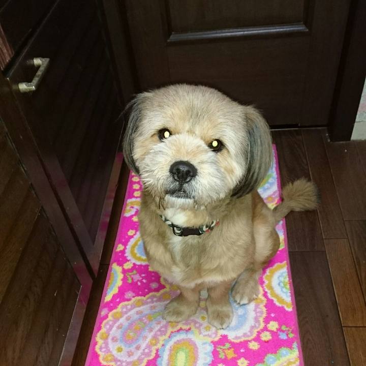 F8dd9ec4 7f19 4b3b 9985 ecce817e1049